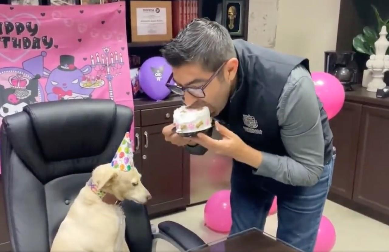 Durante la celebración, llena de alegría y risas, el alcalde Armando Ayala decidió darle una mordida al pastel de cumpleaños de su perrita White. Foto: Twitter.