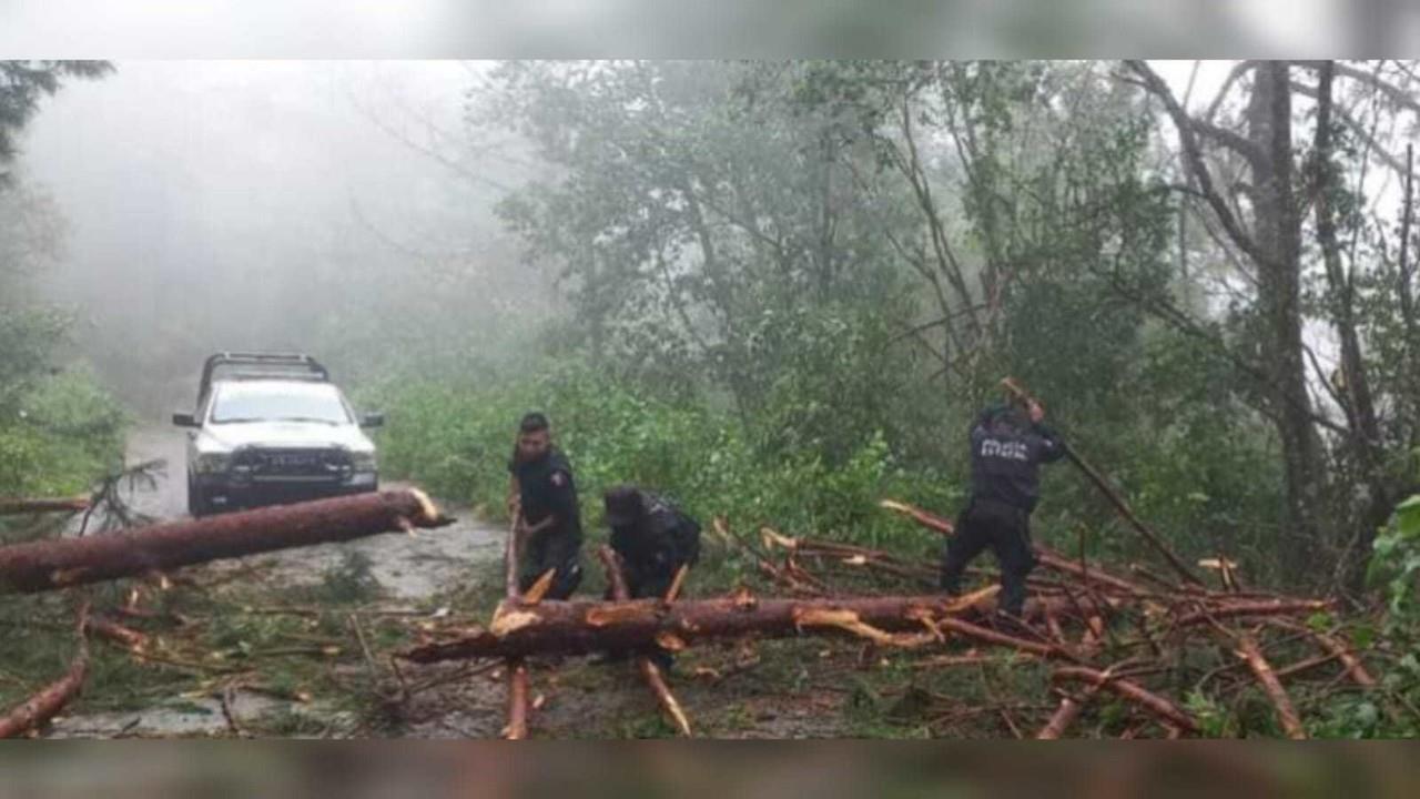 Policía Estatal de Guerrero ayuda en acciones de limpieza para restablecer comunicación en las diferentes carreteras. Foto: Facebook Secretaría de Seguridad Pública de Guerrero.