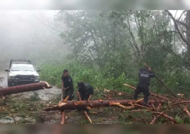 Conoce los centros de acopio en beneficio de afectados por huracán en Guerrero