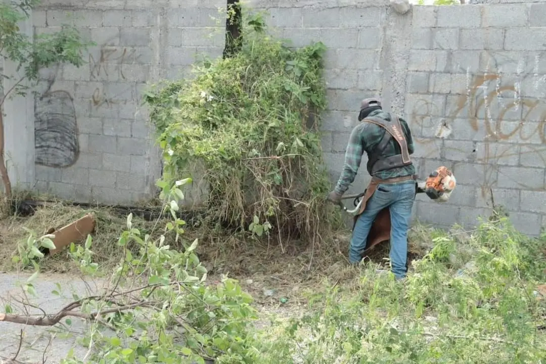 Restauran área entre las colonias Coahuila y Quinta Las Sabinas en Juárez
