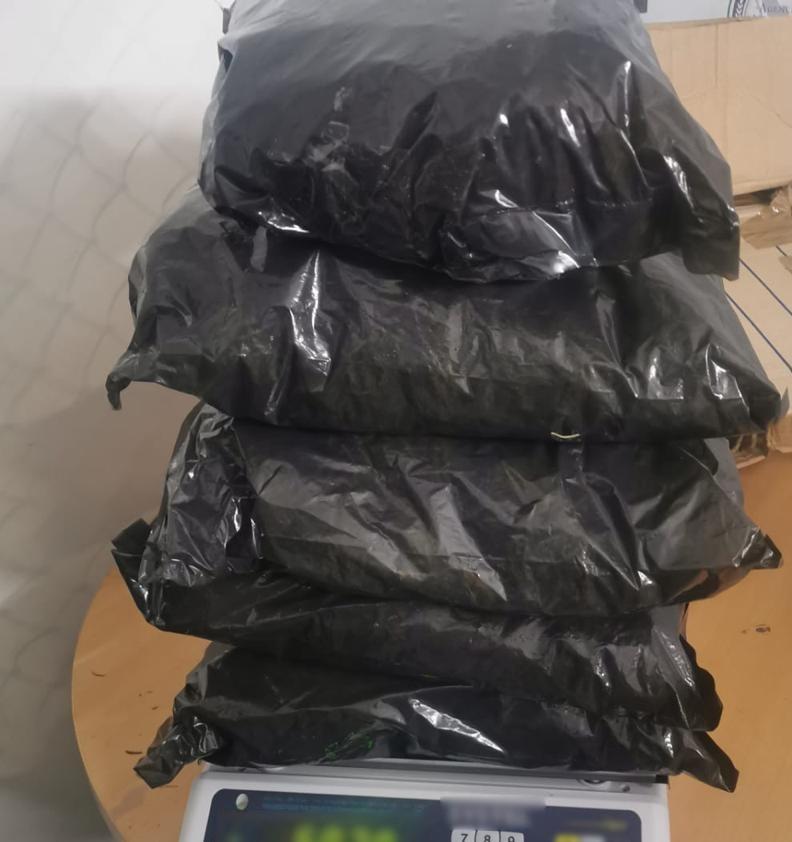 Asegura Guardia Nacional 7 kilos de marihuana en San Luis Potosí