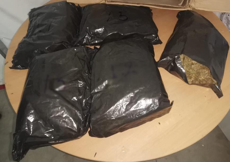 Asegura Guardia Nacional 7 kilos de marihuana en San Luis Potosí