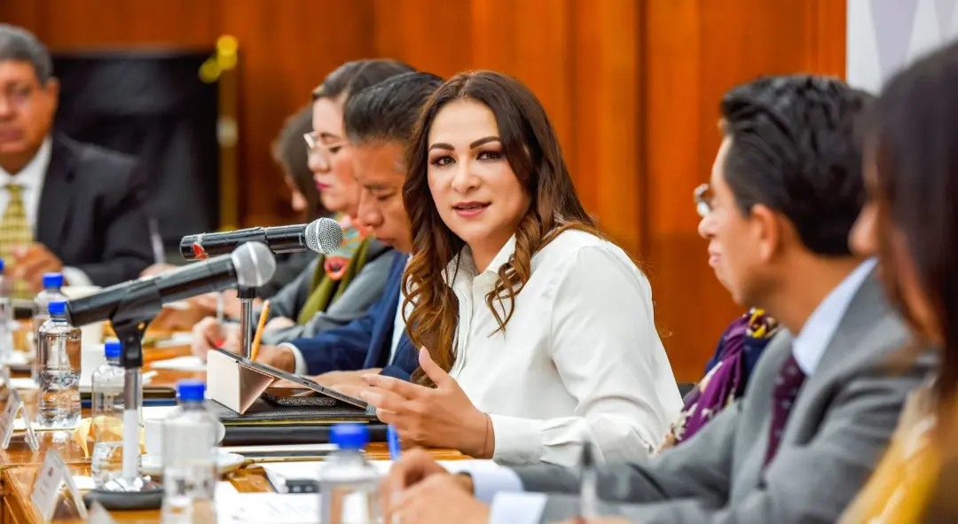 La titular de la Casa de la Dignidad y las Libertades participó en el Foro “Dos años de la ley para la protección integral de los Periodistas”. Crédito: CODHEM.