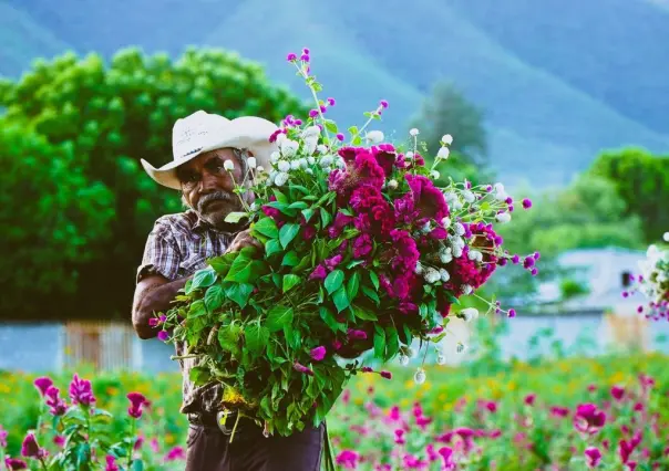 Sembradío de Don Francisco, tradición familiar que llena de color a Victoria