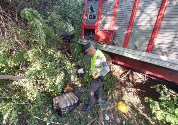 Asegura GN 100 kilos de marihuana en camión accidentado en Guerrero