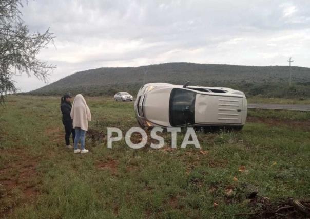 Manada de jabalíes ocasiona volcadura