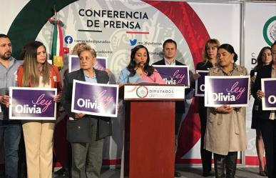 Ley Olivia: Apoyo en duelo para padres que pierden a sus bebés