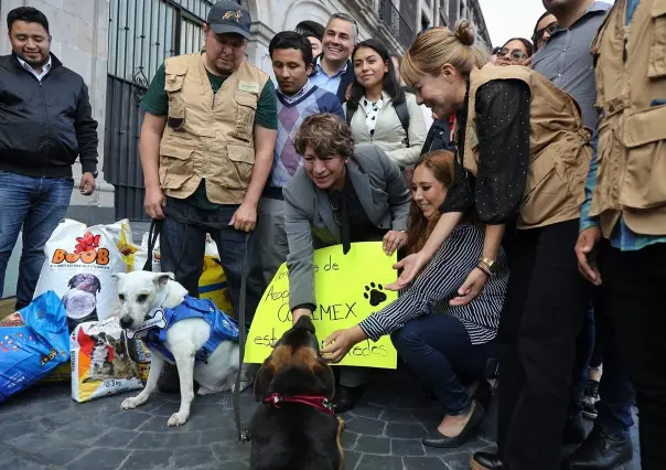 Enviará Edomex alimento para mascotas afectadas por huracán Otis