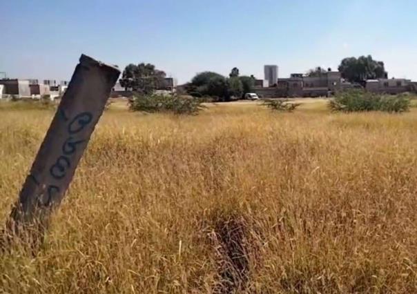 Encuentran cadáveres de tres personas bajo un árbol en Celaya