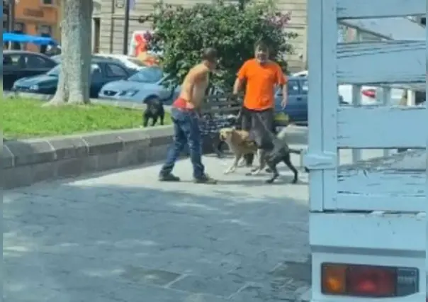 VIDEO: Tu barrio te respalda...perritos defienden a su dueño de un buscapleitos