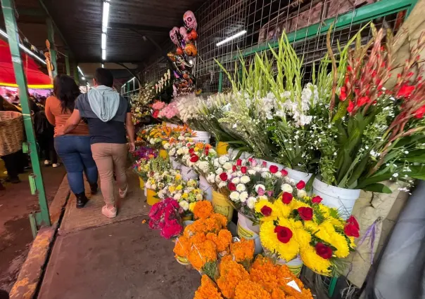 Visitas a panteones en el Estado de México: un homenaje a los seres queridos