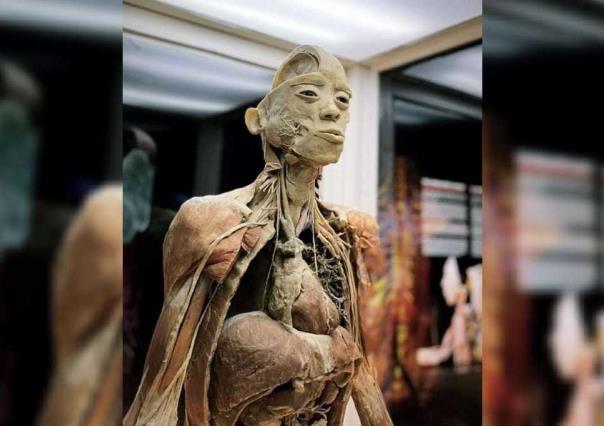 Explora el cuerpo humano real en la exhibición Bodies en Monterrey