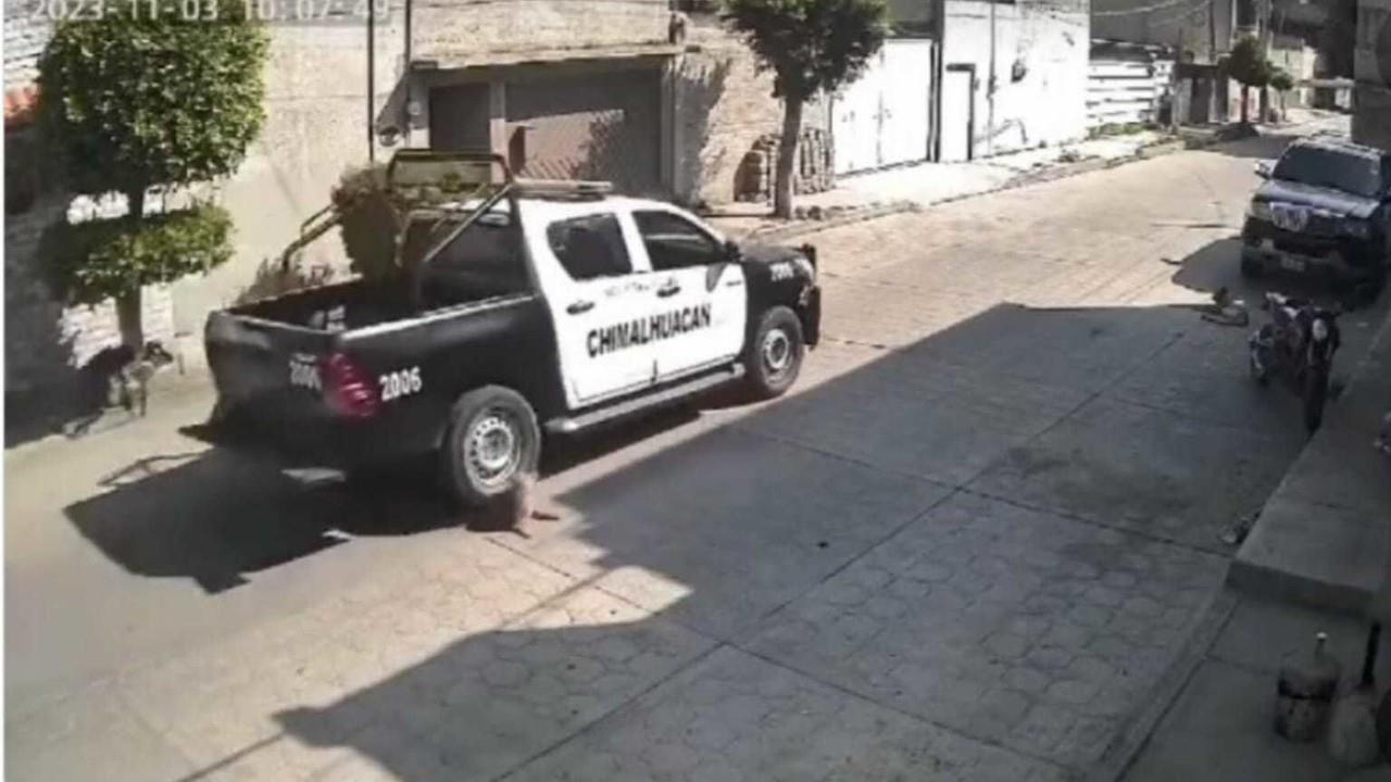 Jorge Luis ‘N’ y Raquel ‘N’ son los policías que viajaban en la patrulla 2006 de Chimalhuacán, presuntos responsables de la muerte de Peluche, ya fueron destituidos y son investigados por maltrato animal. Foto: Captura de pantalla