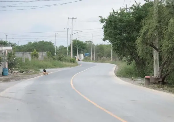 Paco Treviño cumple su palabra: pavimentación de calidad en Juárez