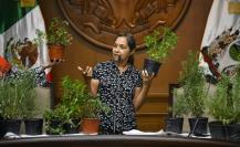 Fortalece Monterrey Curso de Plantas Aromáticas