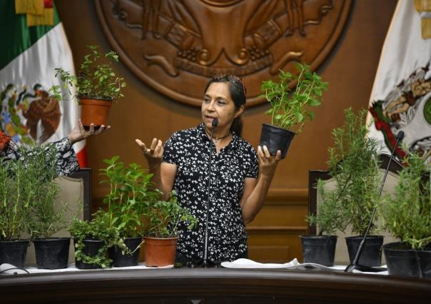 Fortalece Monterrey Curso de Plantas Aromáticas