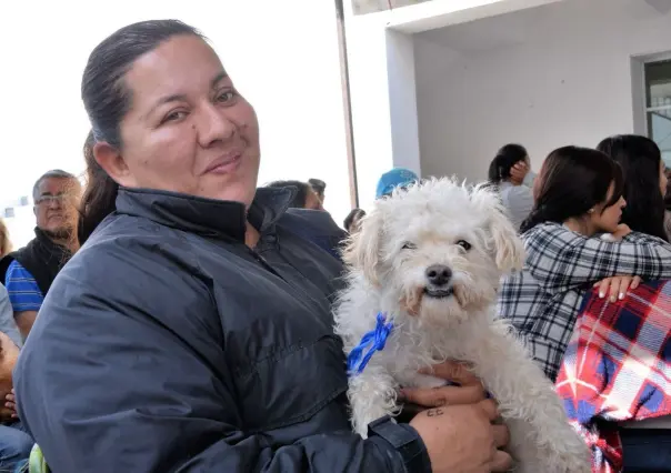 Inician Jornadas de Esterilización Canina y Felina gratuitas en Nezahualcóyotl