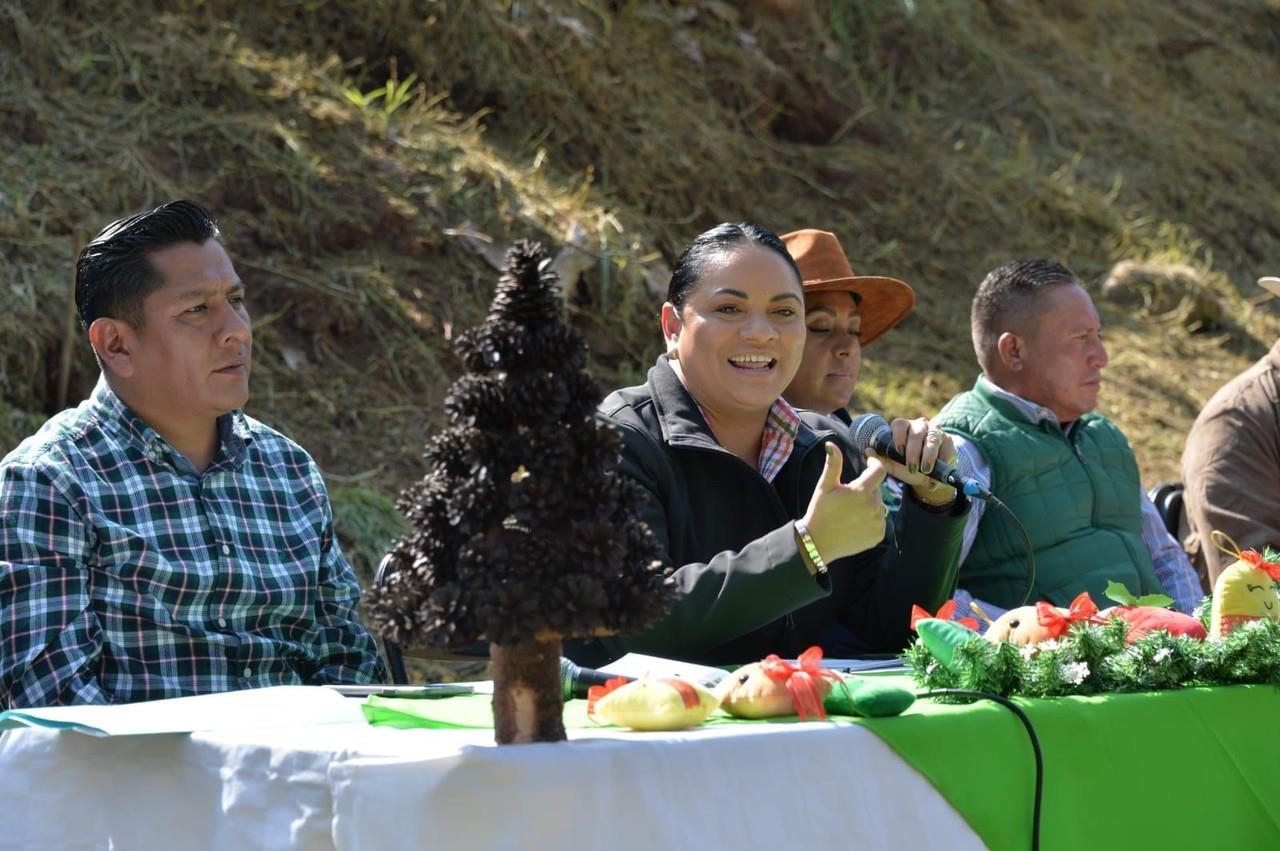 Plantación “La Cuesta” localizada en la Delegación de Santiago Tejocotillos. Imagen: GEM.