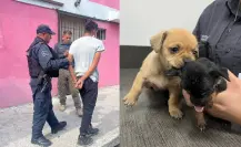 Capturan a hombre por vender cachorros en Facebook