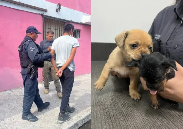 Capturan a hombre por vender cachorros en Facebook