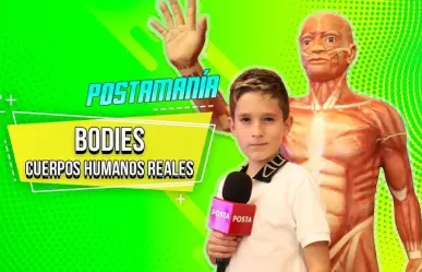 Explora Mateo el asombroso mundo del cuerpo humano en Bodies