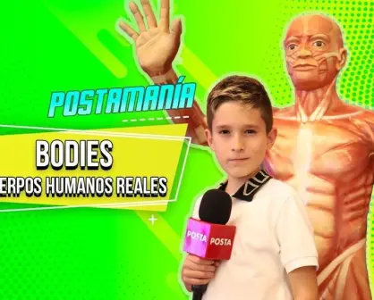 Explora Mateo el asombroso mundo del cuerpo humano en Bodies