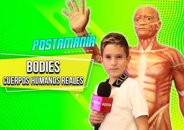 Explora Mateo el asombroso mundo del cuerpo humano en Bodies