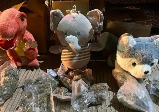 Descubren peluches rellenos de marihuana en Sinaloa