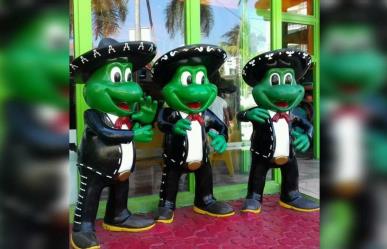 Se vuelan las ranas mariachis del Señor Frogs de Acapulco