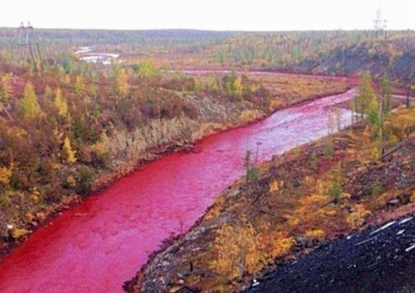 VIDEO: Como en la Profecía; se tiñe de rojo el Río Nilo