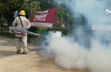 Suman mil 876 casos de dengue en Guerrero