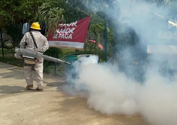 Suman mil 876 casos de dengue en Guerrero