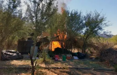 Destruyen campamento improvisado para secar marihuana en Sonora