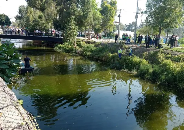 Encuentran cuerpo sin vida flotando en canal de aguas negras en Coyoacán