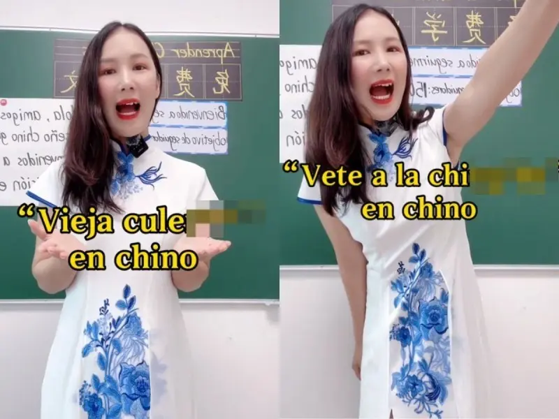 Los videos de la divertida maestra tienen miles de reproducciones y reacciones al ser cortos, divertidos y concisos, aunque muchos de ellos sean groserías. Foto: TikTok @AlejandroChinita888.