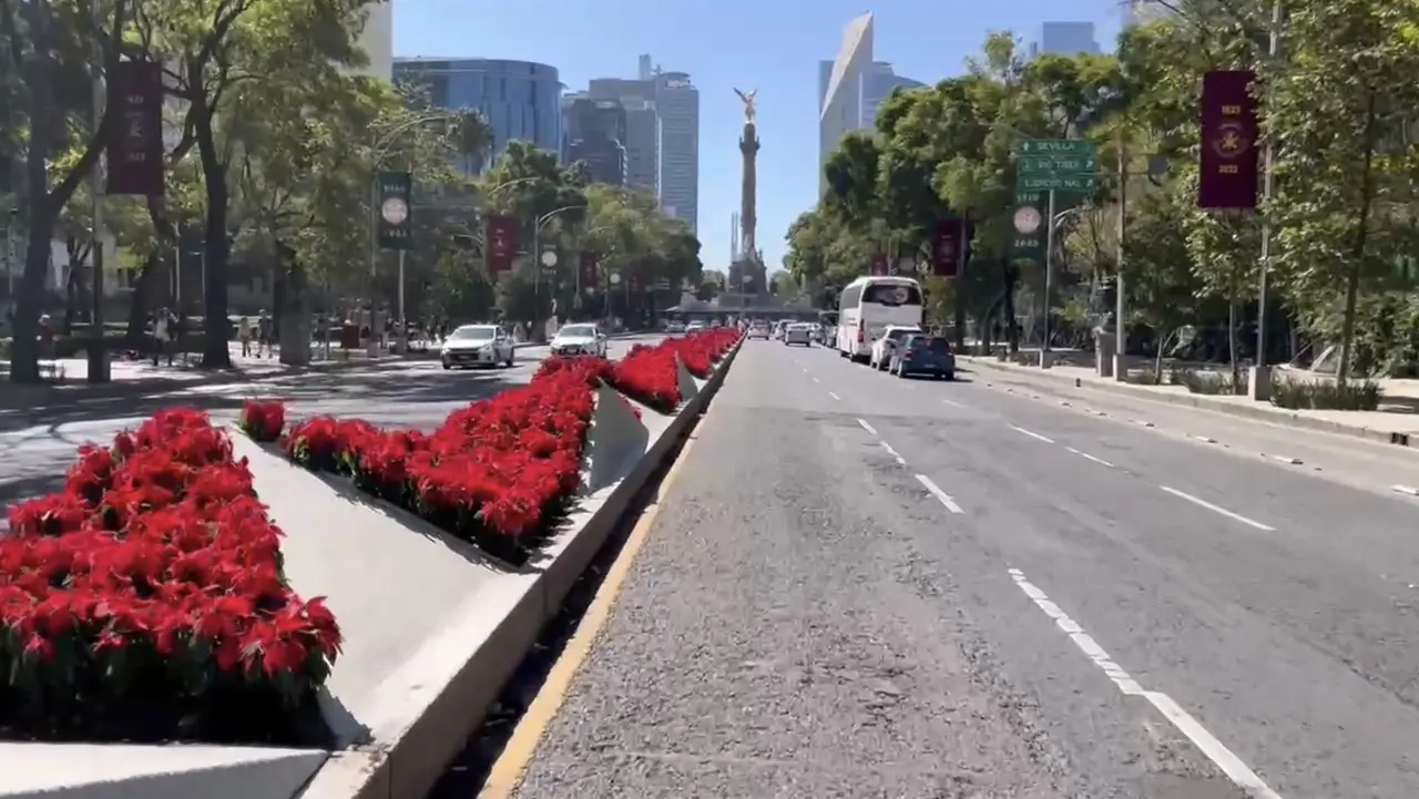 Las flores fueron cultivadas en los invernaderos de Xochimilco. Foto: Omar Gómez