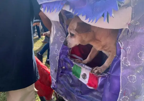 Desfile revolucionario con héroes de cuatro patas