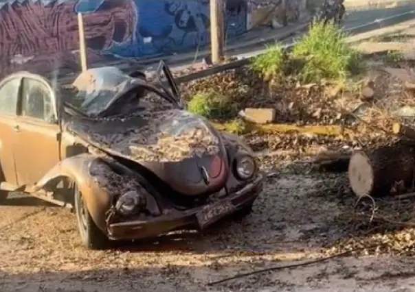 VIDEO: Esos sí son autos: Vochito sobrevive al huracán Otis en Acapulco