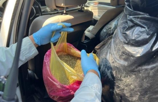 GuardiaNacional aseguró más de 70 kilos de aparente marihuana y un arma fabricada artesanalmente. Foto. Guardia Nacional