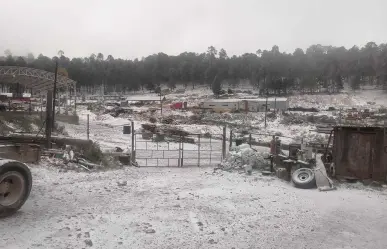 Reportan la caída de nieve en la sierra de Durango