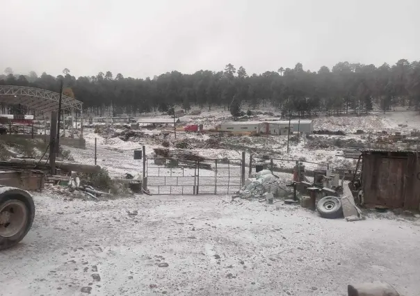 Reportan la caída de nieve en la sierra de Durango