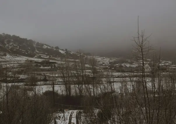 El Frente Frío No. 11 traerá la primera tormenta invernal a Coahuila