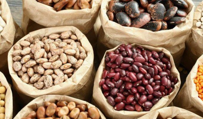 Zacatecas es el mayor estado productor de esta leguminosa. Foto: Especial