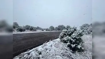 Durango se cubre de blanco en la zona serrana