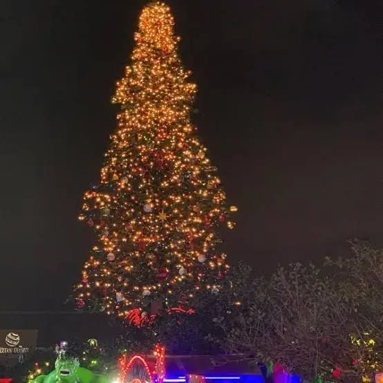 Encenderán en Mérida el árbol de Navidad más grande de México