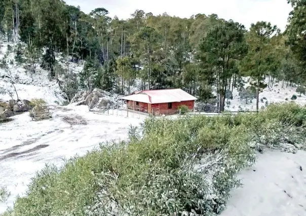 Tormenta de nieve seguirá por bajas temperaturas en seis estados