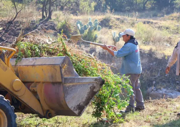 Al rescate de la Sierra de Guadalupe, hacen jornada de limpieza