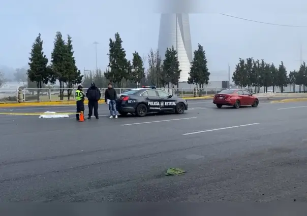 Muere un hombre atropellado en Paseo Tollocan en Toluca, responsable huye