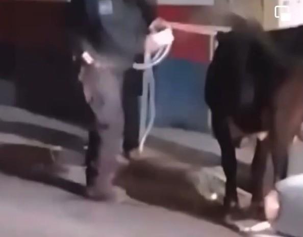 Videos de redes sociales muestran a un toro deambulando por calles del centro de la capital de Hidalgo. Foto: Cortesía.