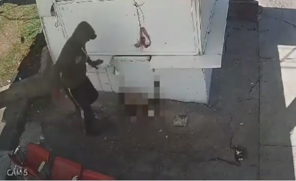 Taquito fue pateado y golpeado por un trabajador de limpia de Naucalpan, enfrenta cargos penales por maltrato animal y también una investigación interna en la Contraloría municipal. Foto: Captura de pantalla